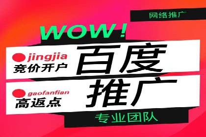 案例分享：网络推广竞价策略应用